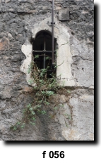 Photo 56