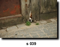Photo 39