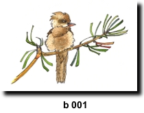 Bird 1