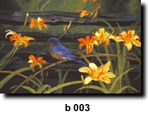 Bird 3