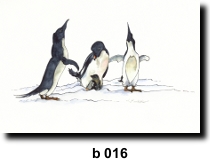 Bird 16