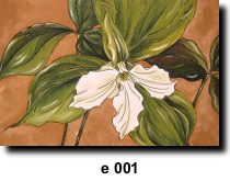 Flower 1