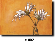 Flower 2