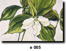 Flower 5