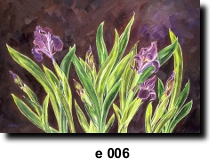 Flower 6
