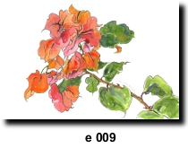 Flower 9