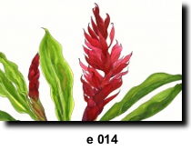 Flower 14