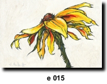 Flower 15