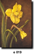 Flower 19