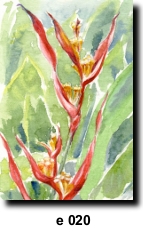 Flower 20