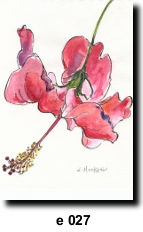 Flower 27