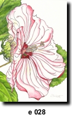 Flower 28