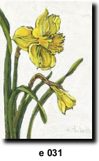 Flower 31