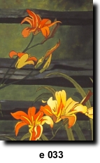 Flower 33