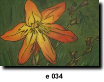 Flower 34