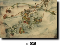 Flower 35