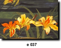 Flower 37